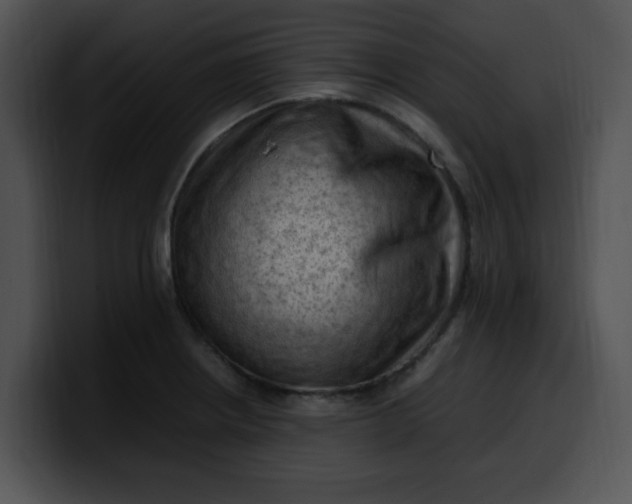 X0000099981234200806061516