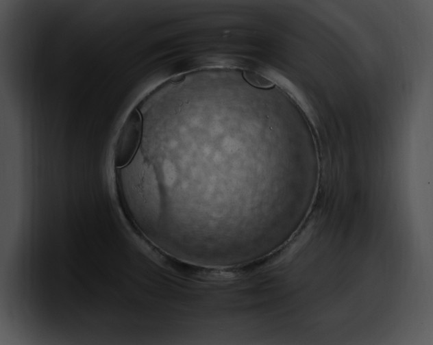 X0000099981235200806061516