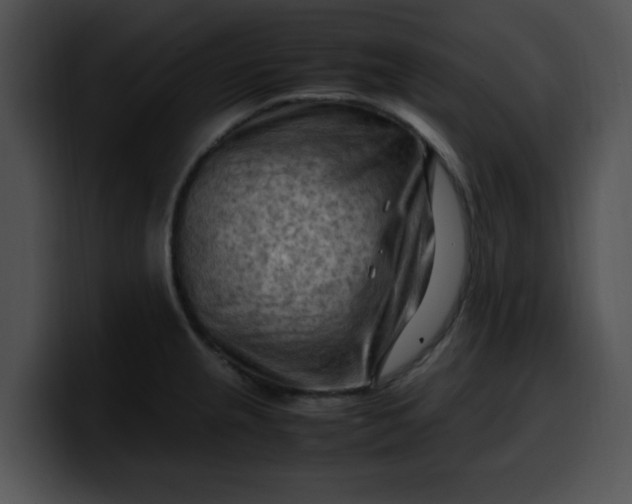 X0000099981237200806061516