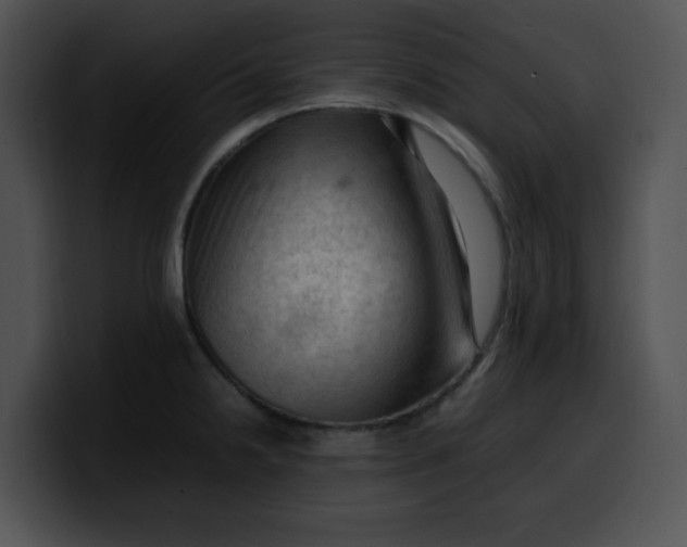 X0000099981238200806061516