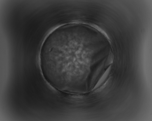 X0000099981239200806061516