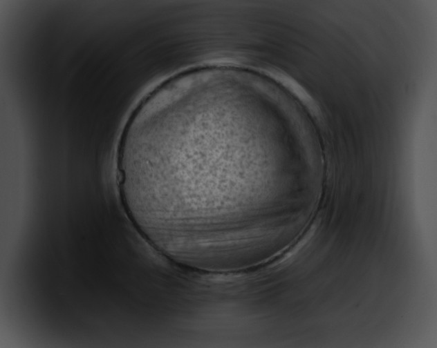 X0000099981240200806061516