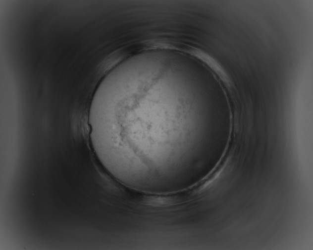 X0000099981241200806061516