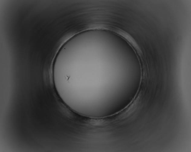 X0000099981242200806061516