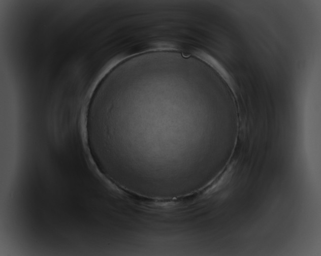 X0000099981243200806061516