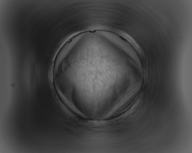 X0000099981244200806061516