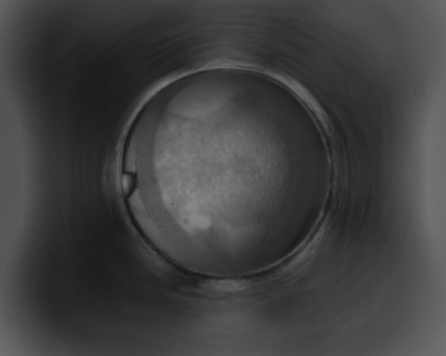 X0000099981246200806061516