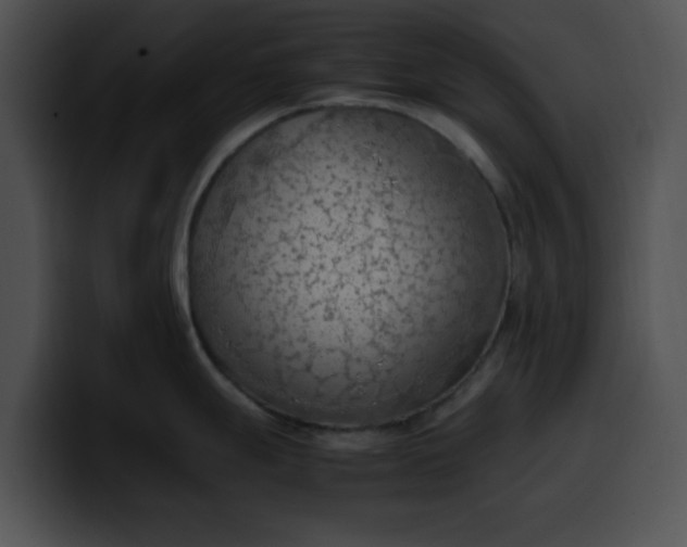 X0000099981247200806061516