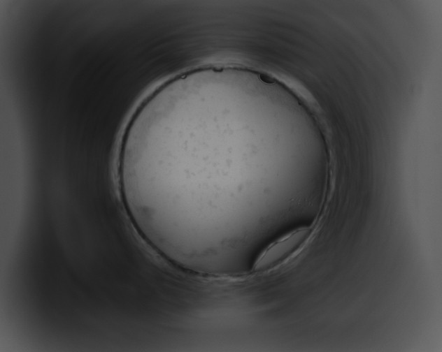 X0000099981248200806061516