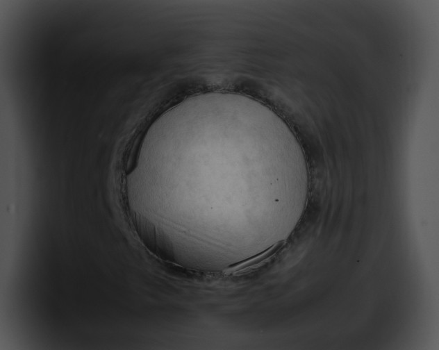 X0000099981249200806061516