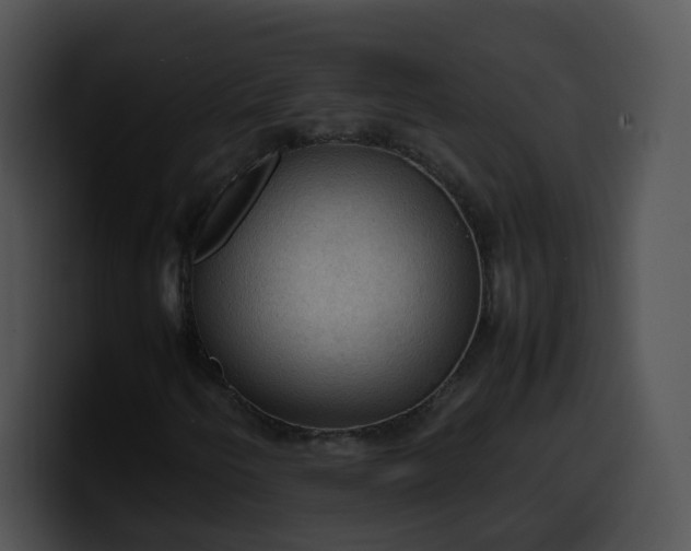 X0000099981250200806061516