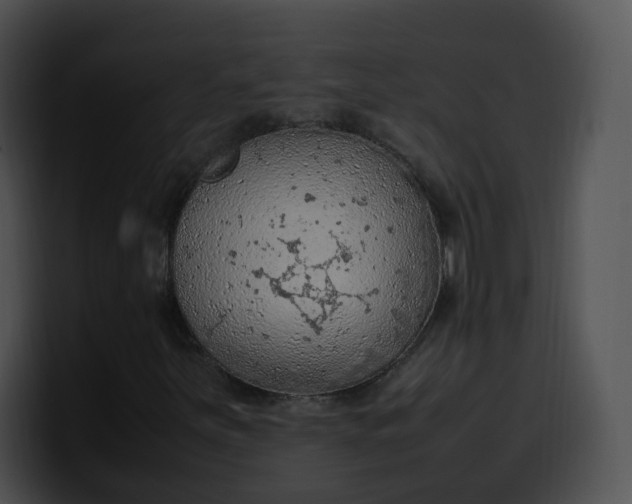 X0000099981251200806061516