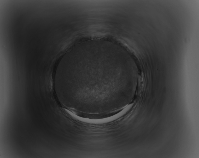 X0000099981252200806061516