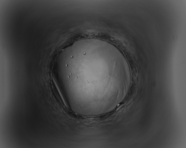 X0000099981253200806061516