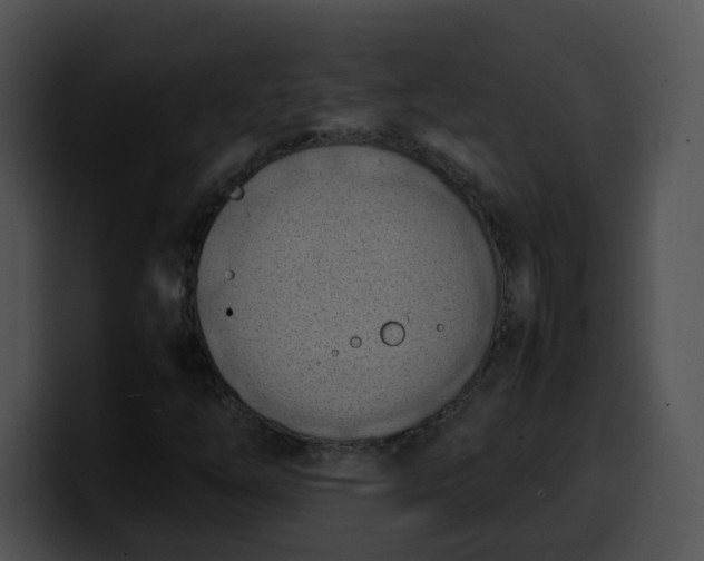 X0000099981254200806061516