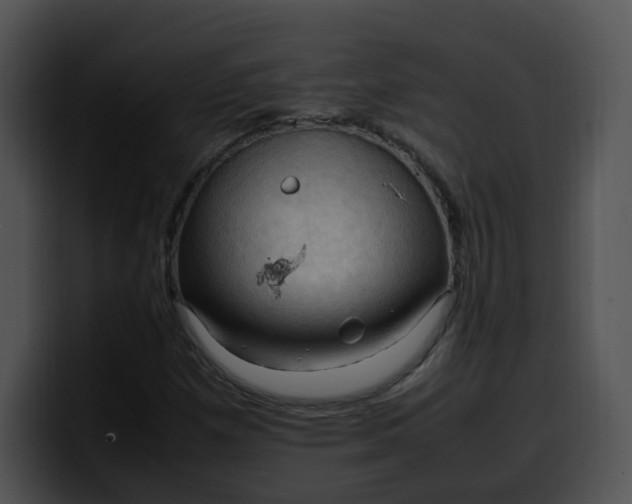 X0000099981257200806061516