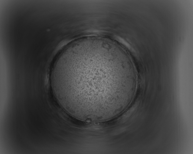 X0000099981259200806061516