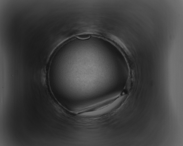 X0000099981260200806061516