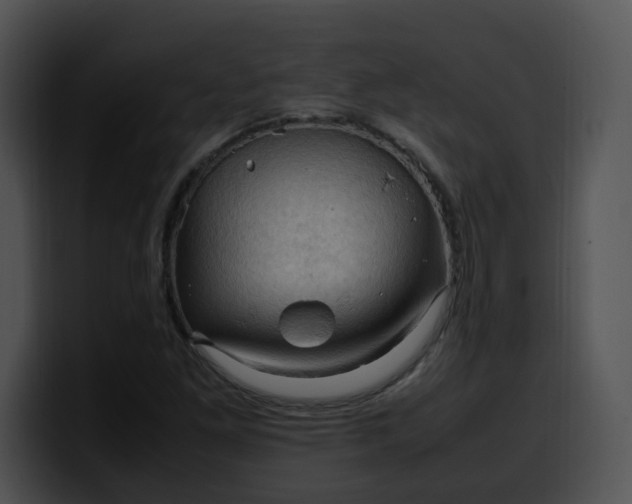 X0000099981261200806061516