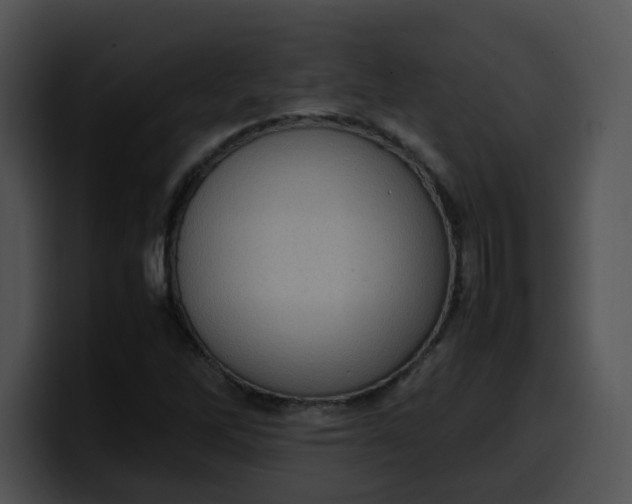 X0000099981262200806061516