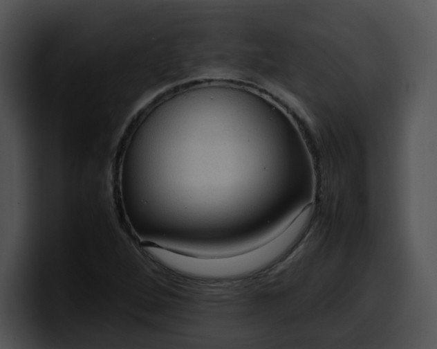 X0000099981264200806061516