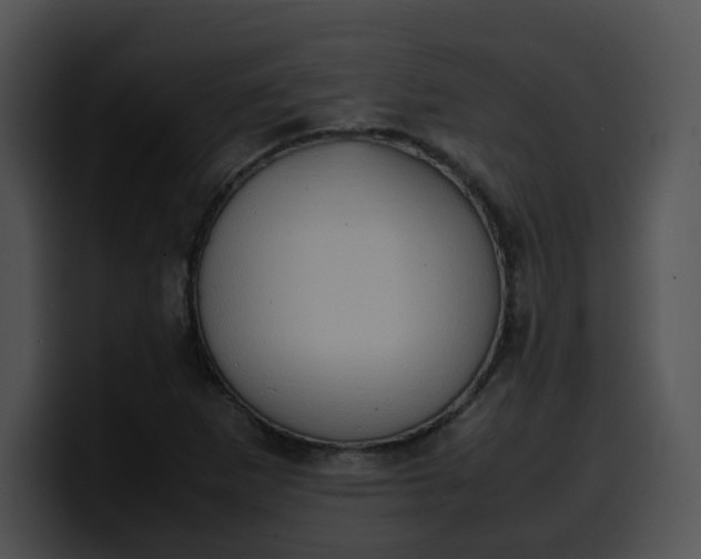 X0000099981265200806061515