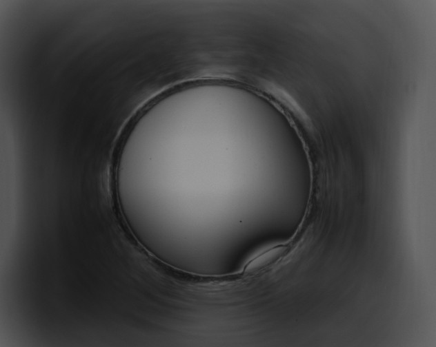 X0000099981268200806061515