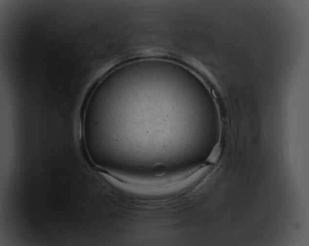 X0000099981269200806061515