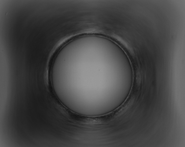 X0000099981270200806061515