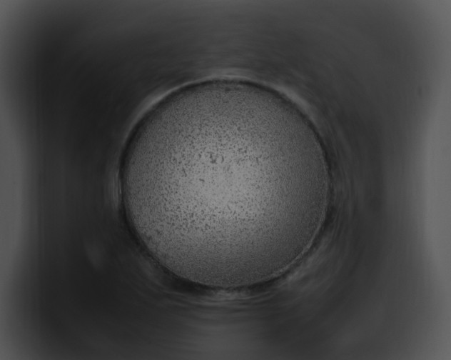 X0000099981271200806061515