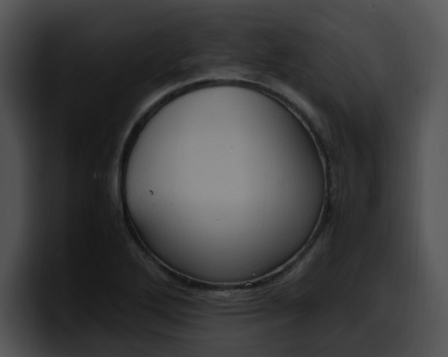 X0000099981272200806061515