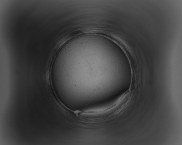 X0000099981273200806061515