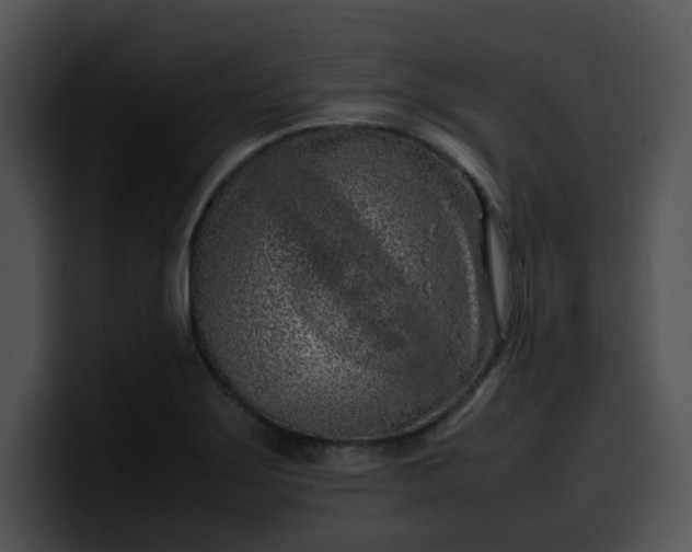 X0000099981275200806061515