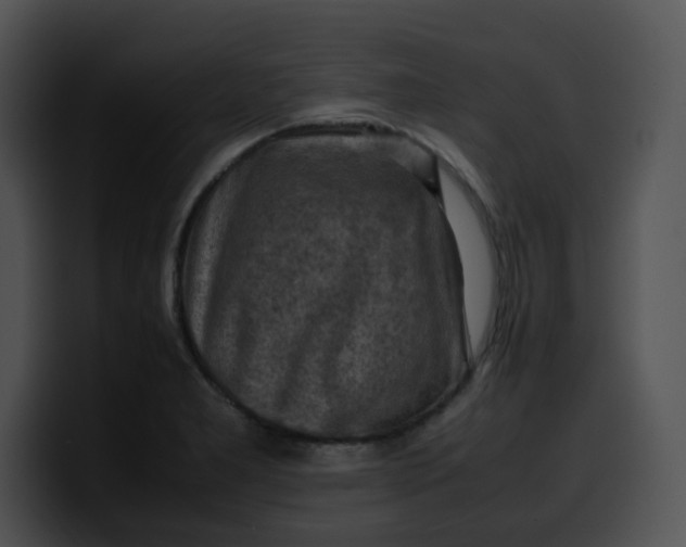 X0000099981277200806061515