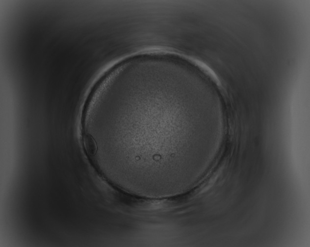 X0000099981279200806061515