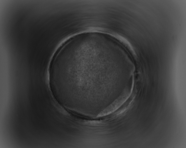 X0000099981280200806061515