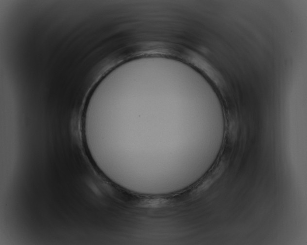 X0000099981282200806061515