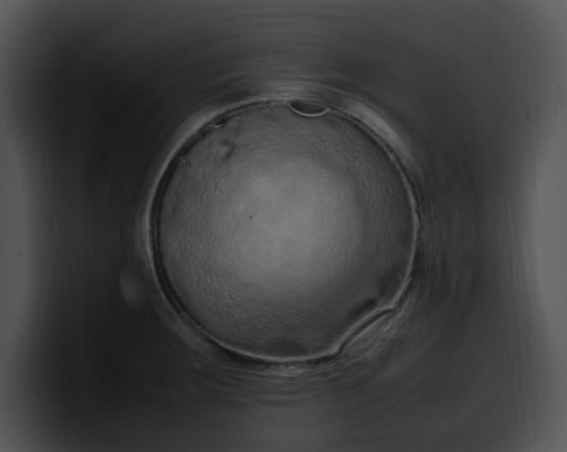 X0000099981283200806061515