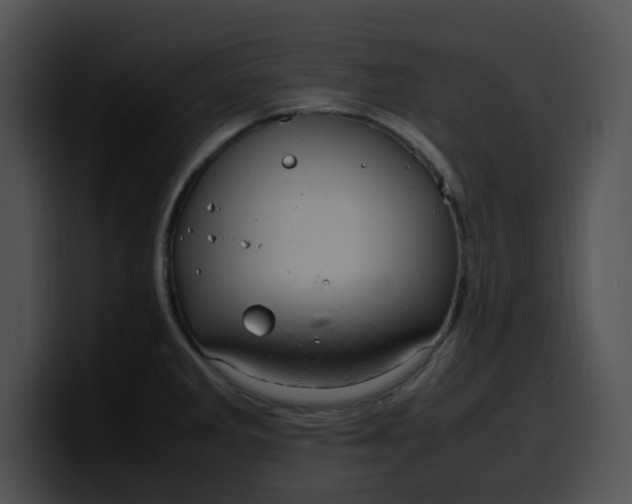 X0000099981285200806061515