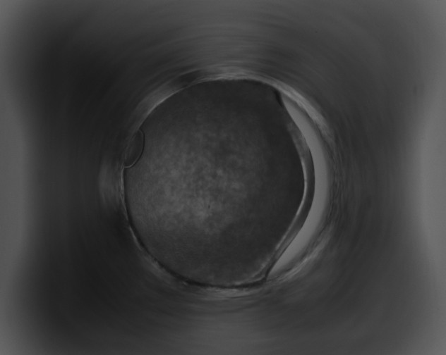 X0000099981289200806061515