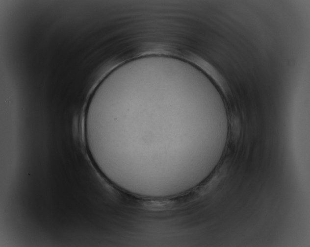 X0000099981290200806061515