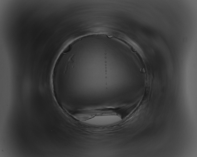 X0000099981291200806061515