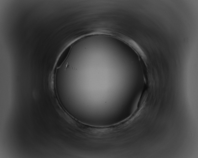 X0000099981292200806061515