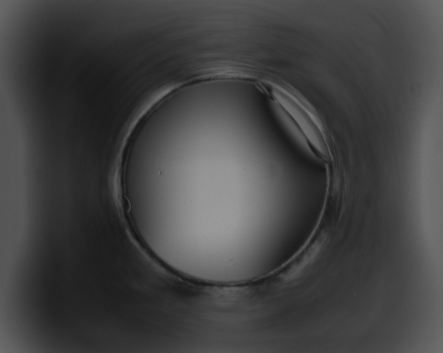 X0000099981293200806061515