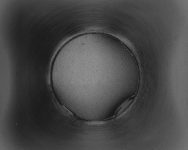 X0000099981296200806061515