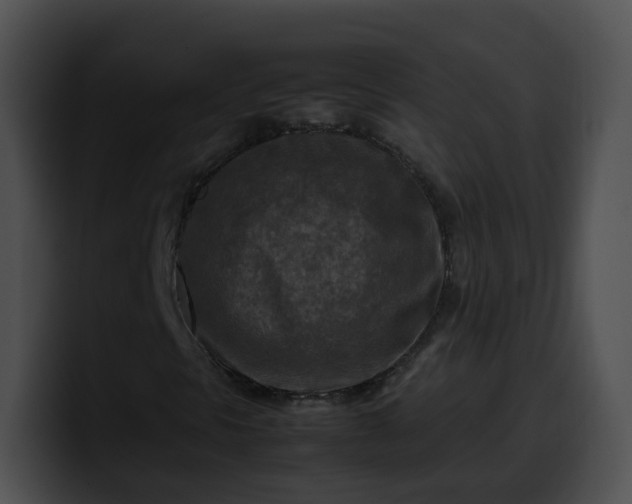 X0000099981297200806061514