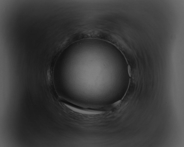 X0000099981298200806061514