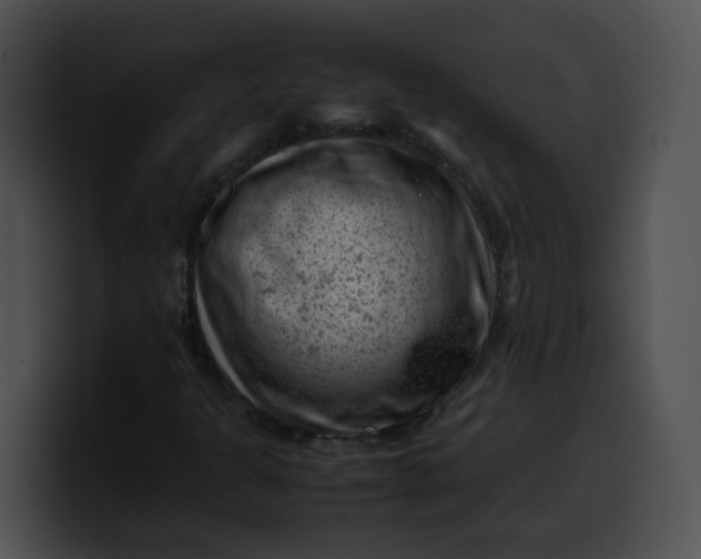 X0000099981301200806061514