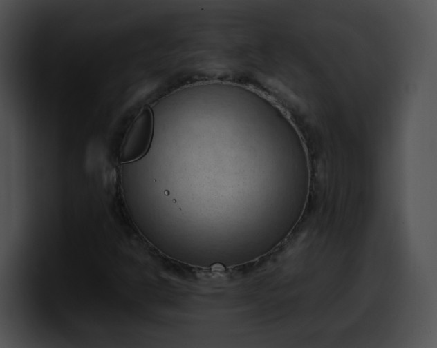 X0000099981302200806061514