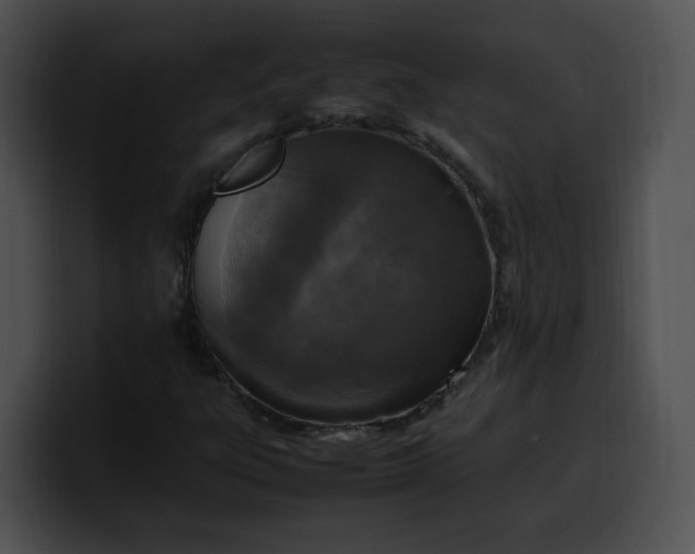 X0000099981303200806061514